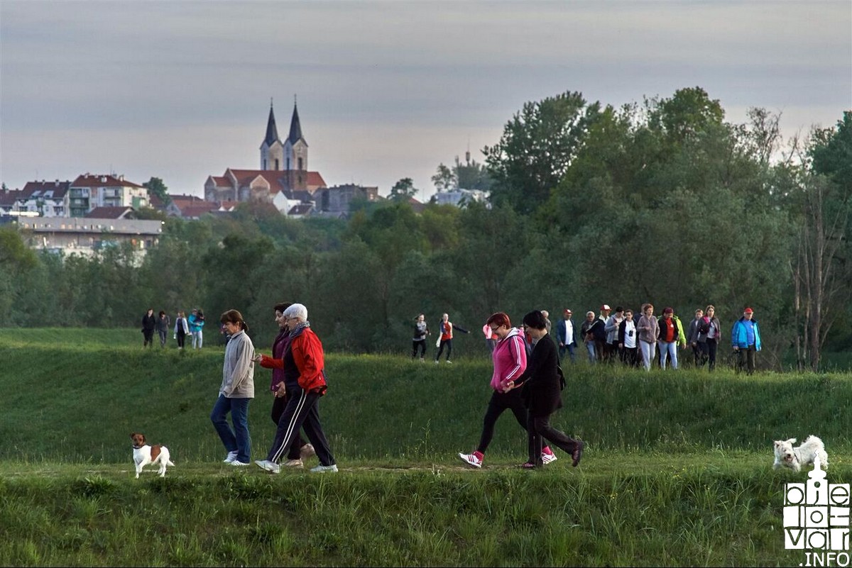 Bjelovar info medij