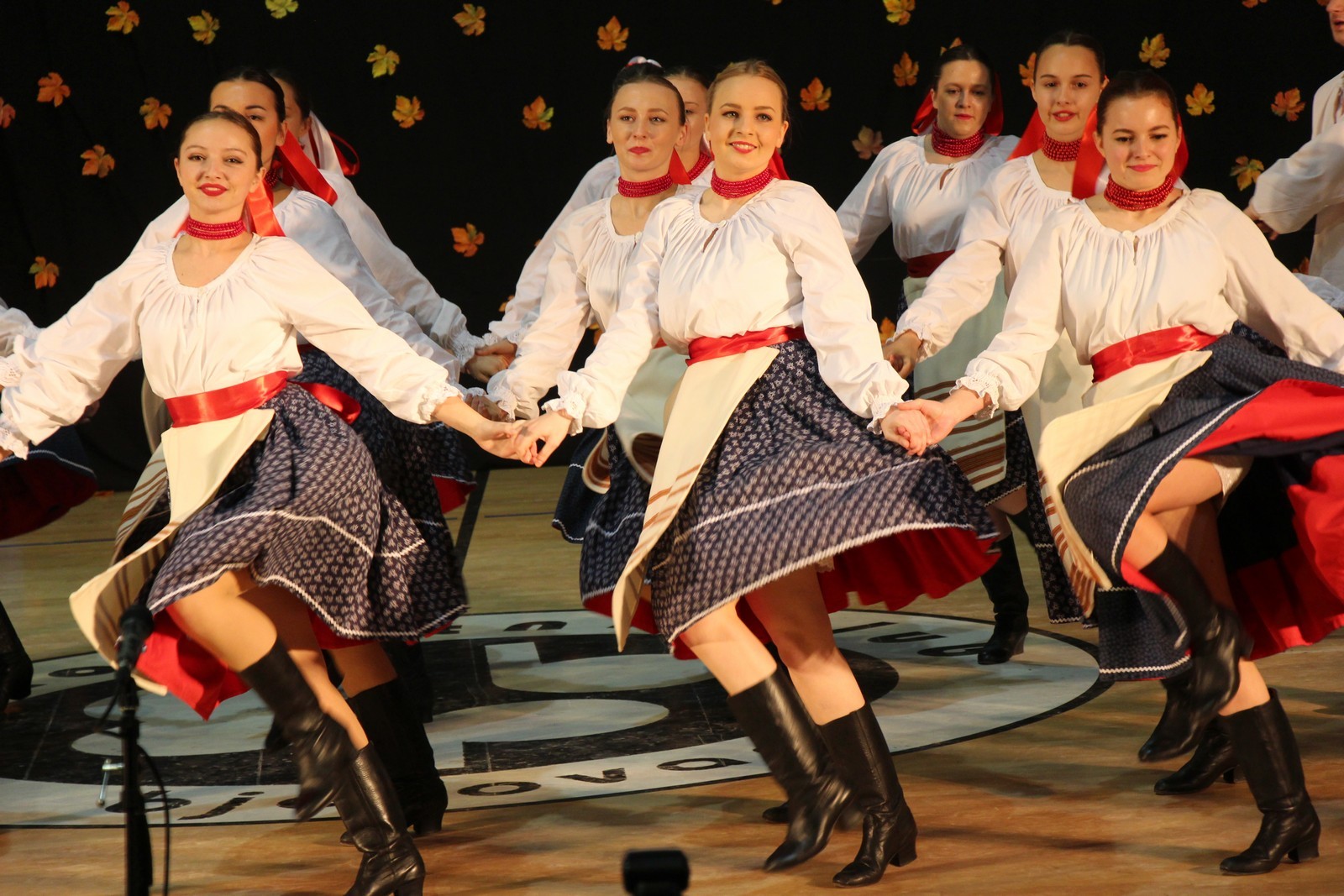 Bjelovar info medij