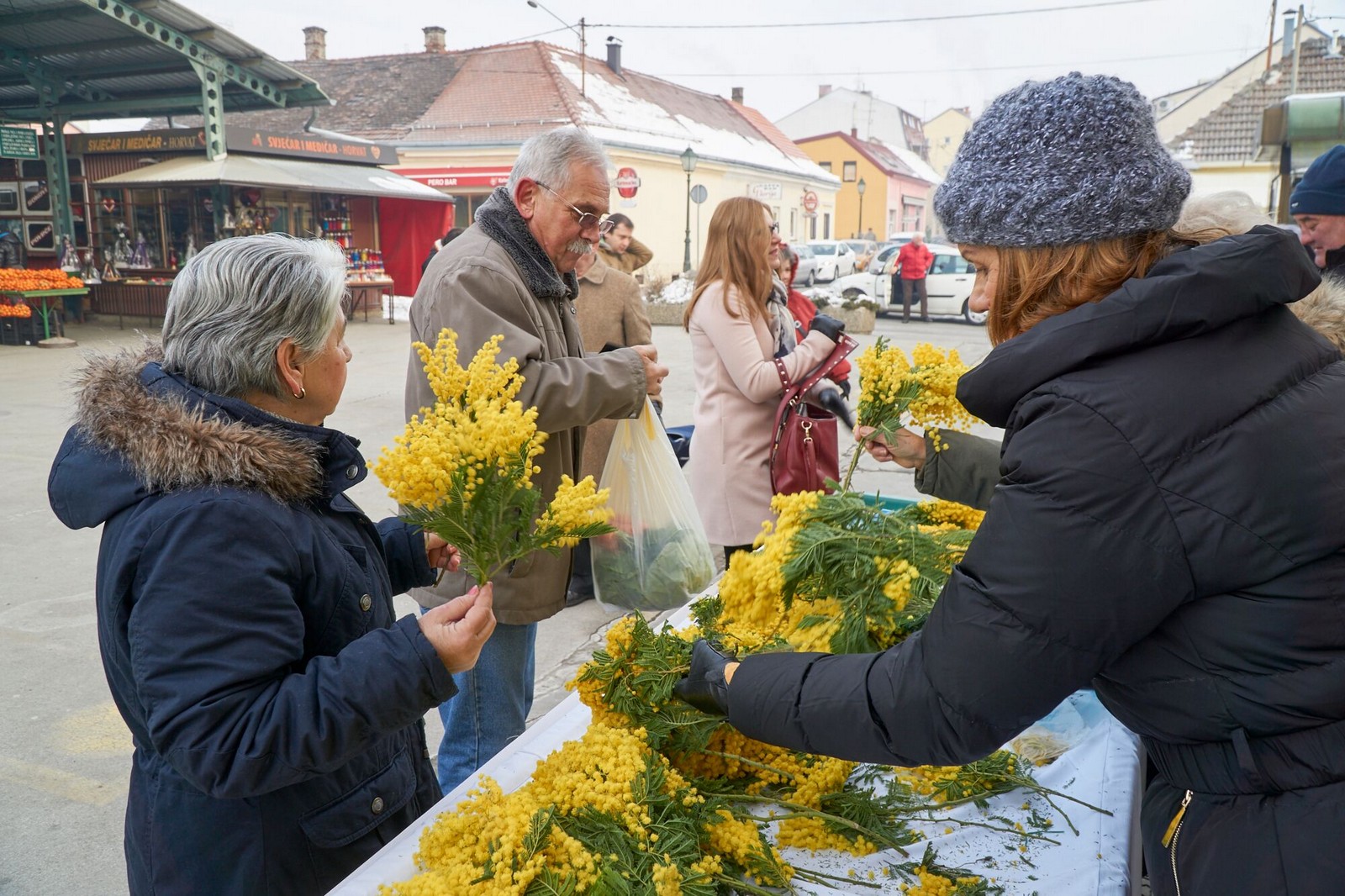 Bjelovar info medij
