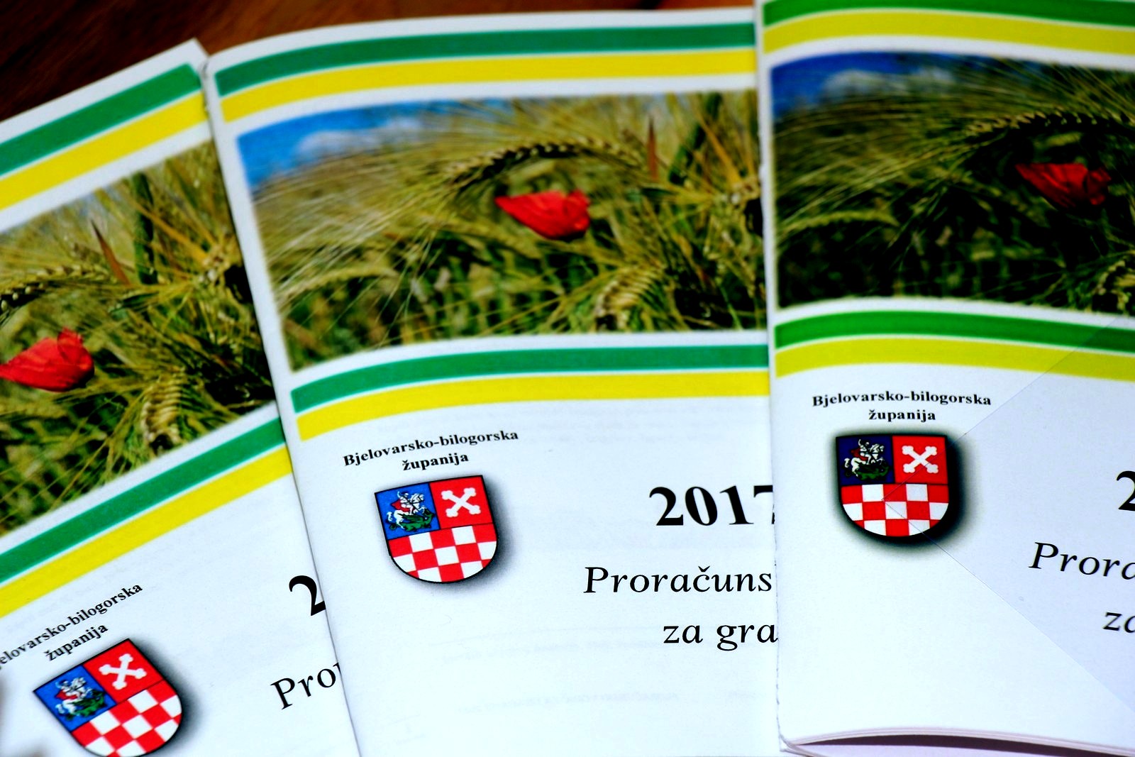 Bjelovar info medij