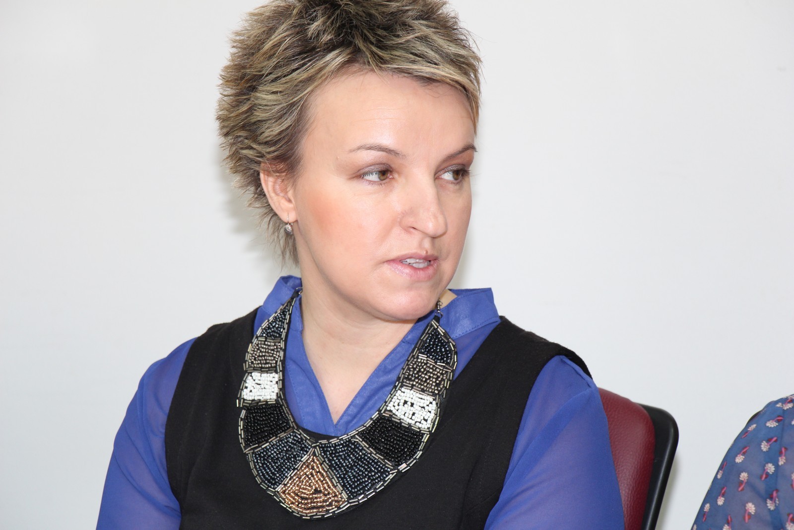 Bjelovar info medij