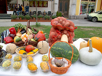 Bjelovar info medij