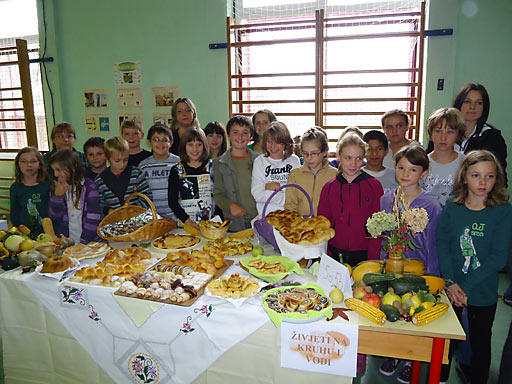 Bjelovar info medij