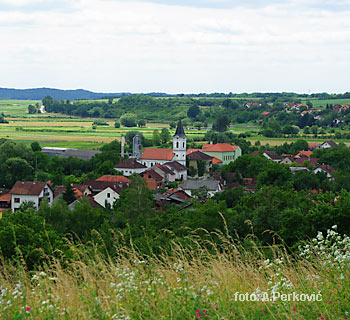Bjelovar info medij
